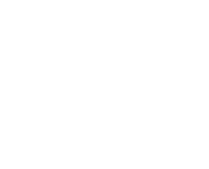 DIESEL VEHICLES
