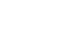 TAXI DRIVERS